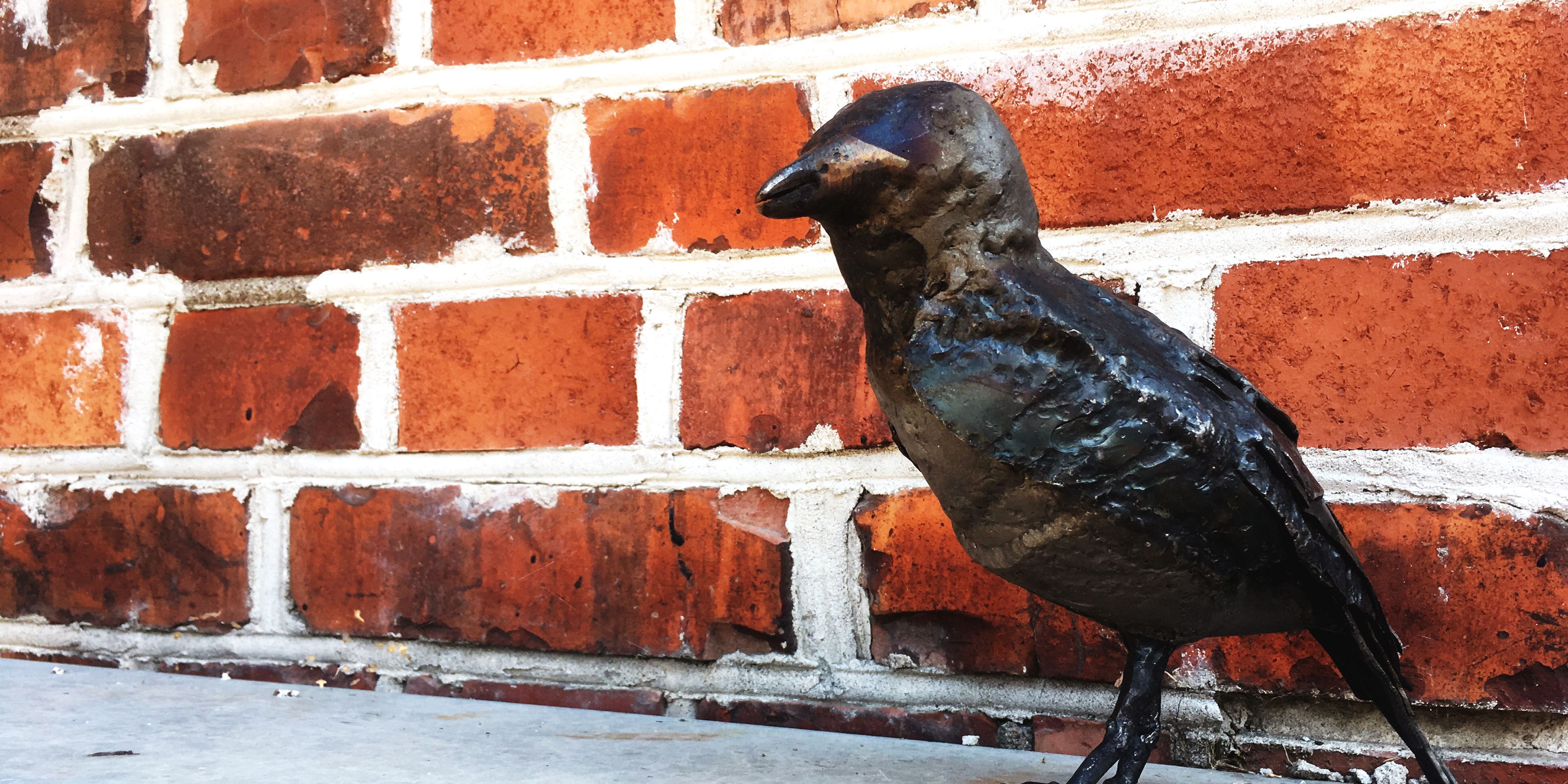 Kaja tegel och elskap