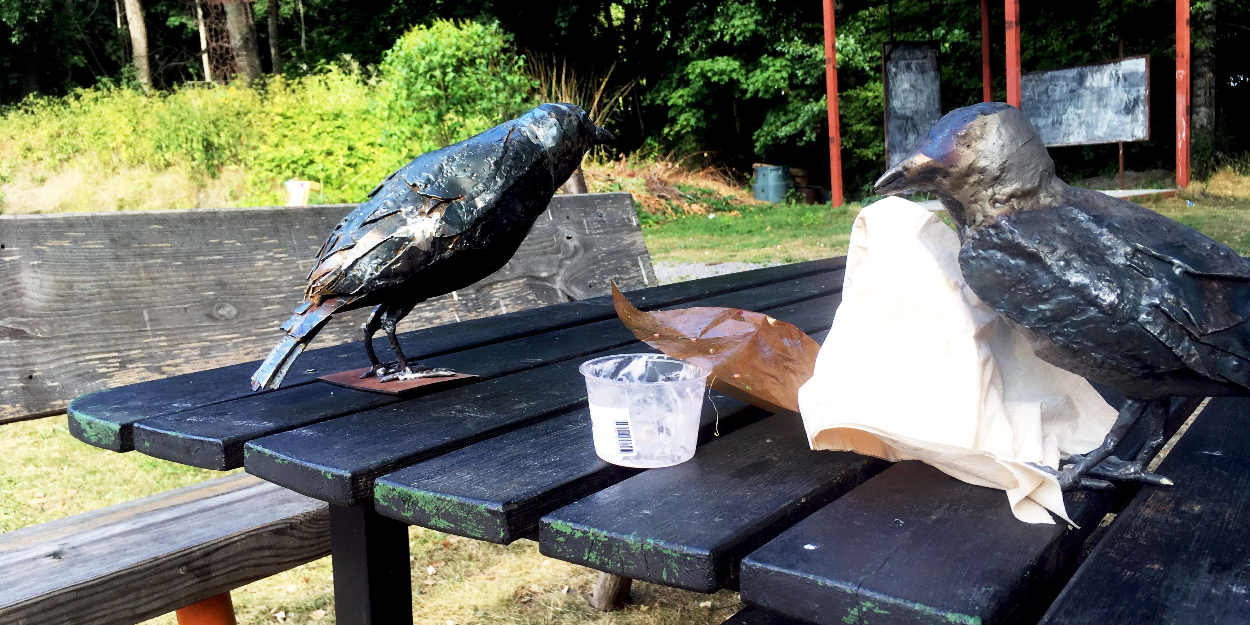 Krakfaglar med lyxskrap