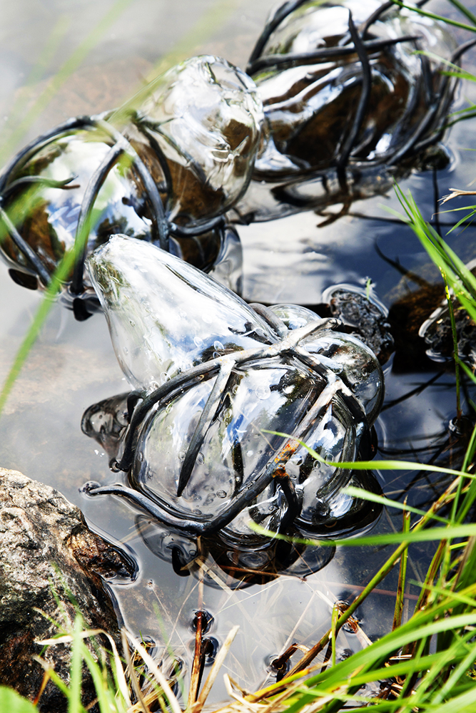 fruktkroppar i vatten