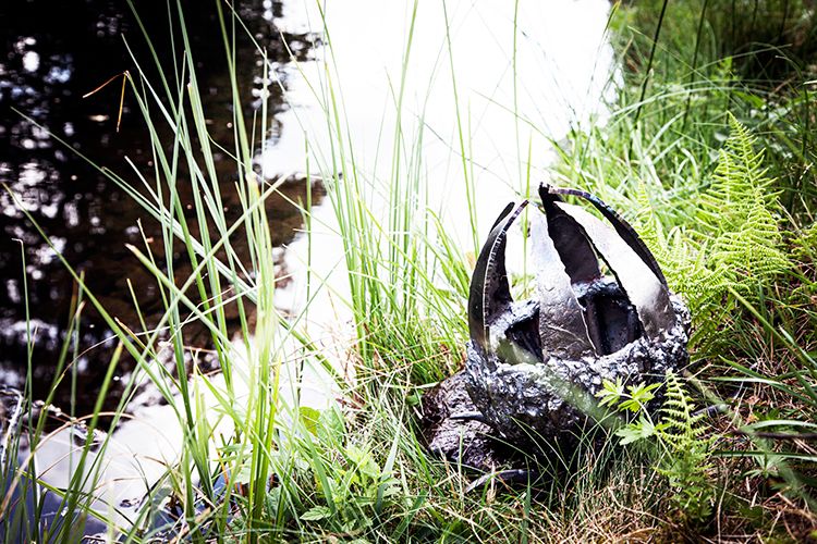 tooth faity på land