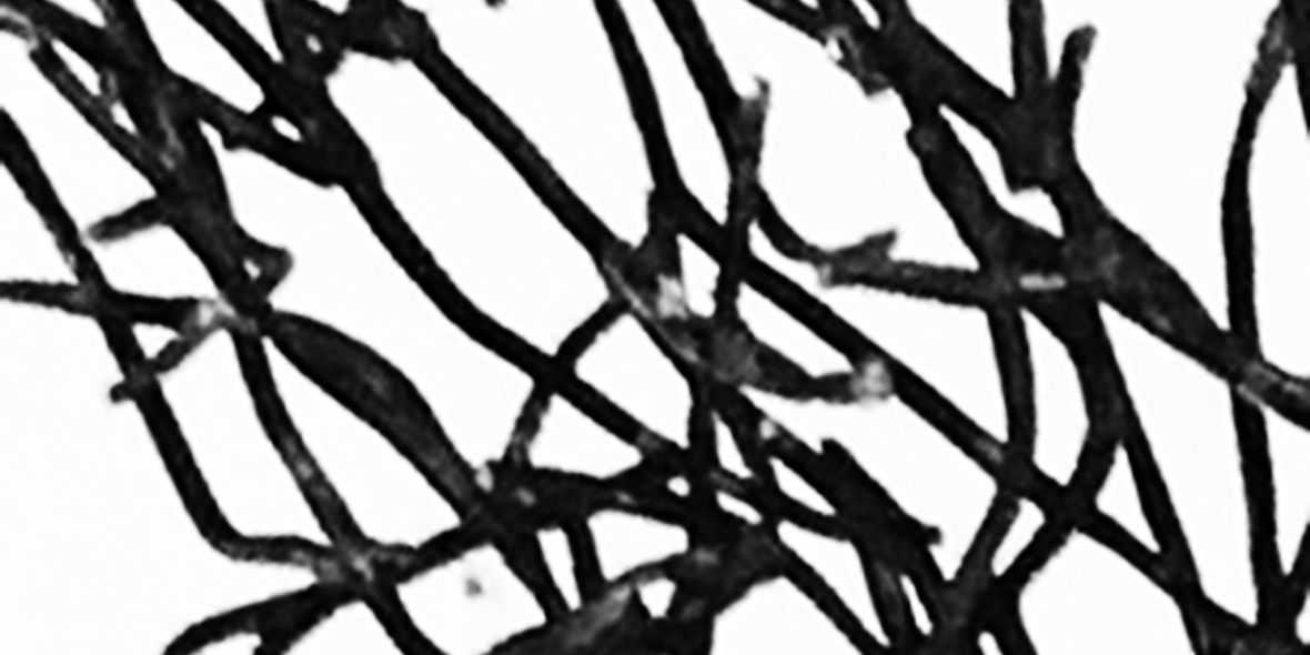 kylse neuron detalj 4