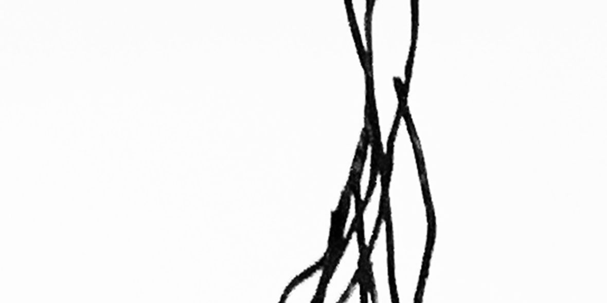 kylse neuron detalj 6